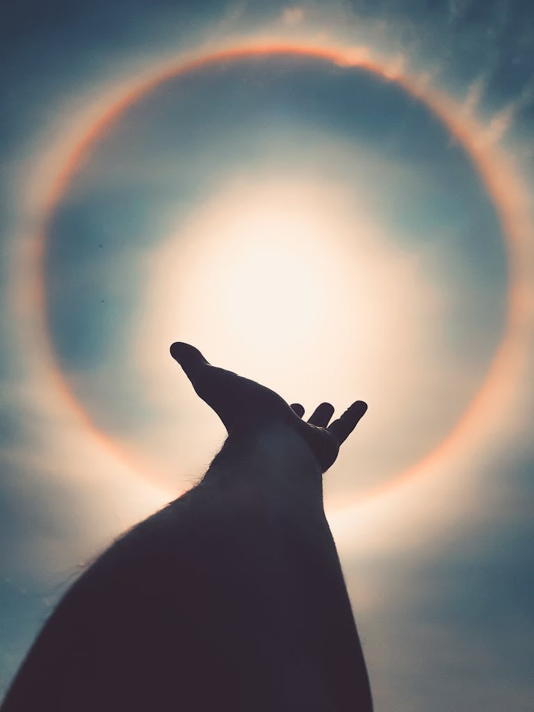 Left Human Hand Photo reaching towards sun