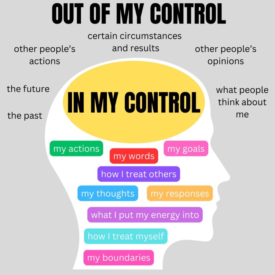 a silhouette of a head listing things a person can control and on the outside is a list of things a person cannot control